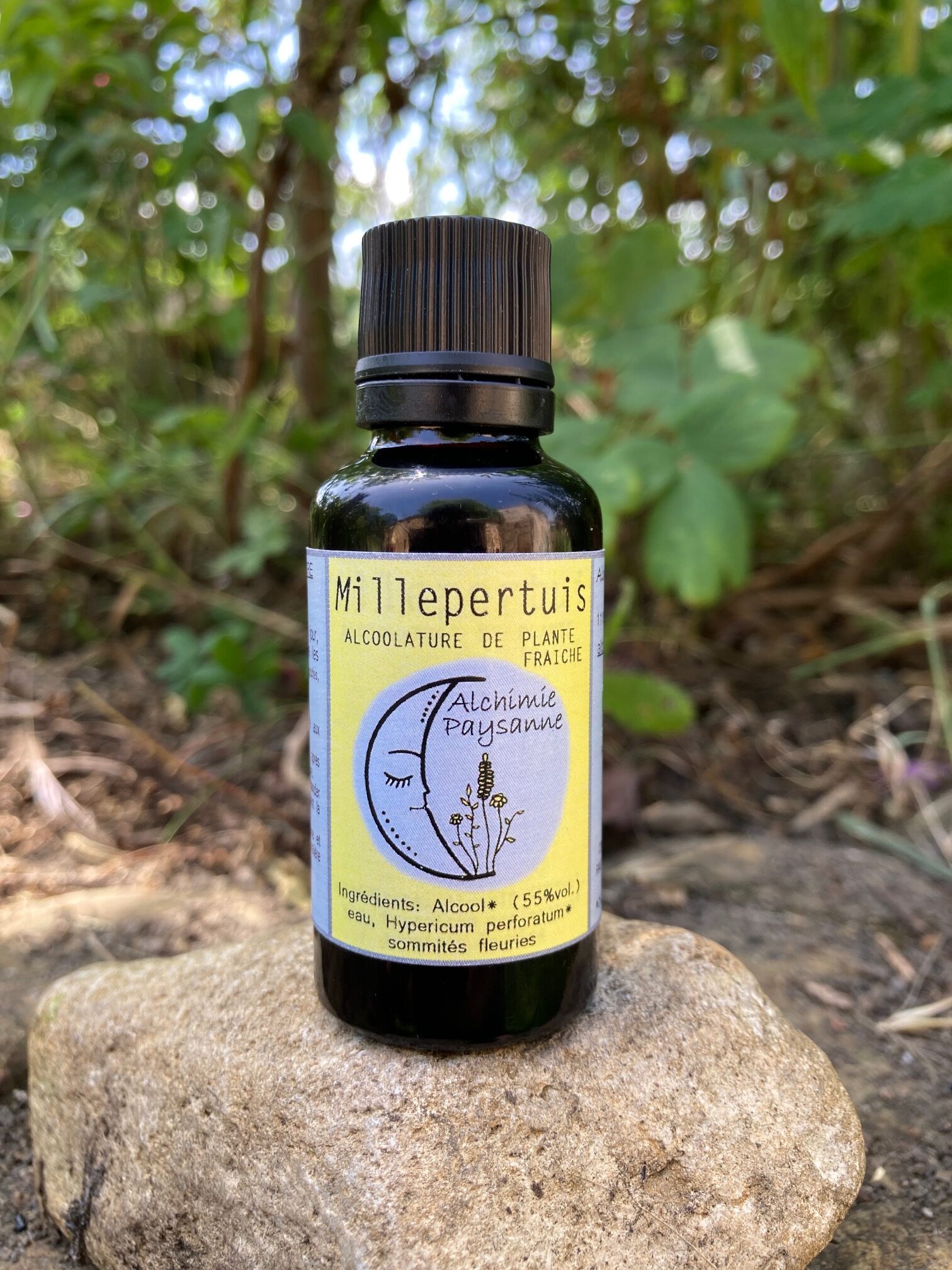 Hypericum perforatum Millepertuis remède naturel dépression