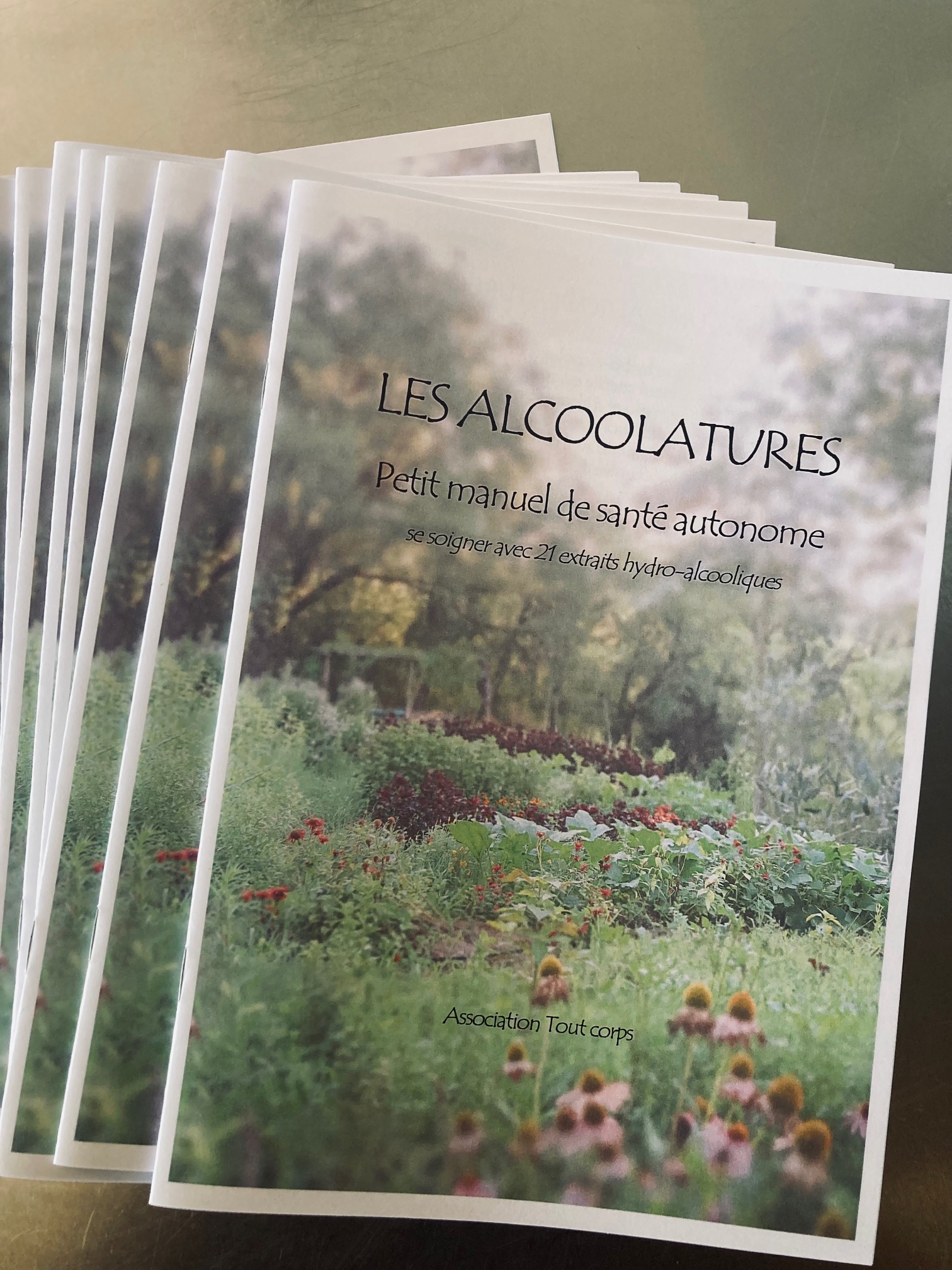 alcoolatures teintes mères usage des plantes