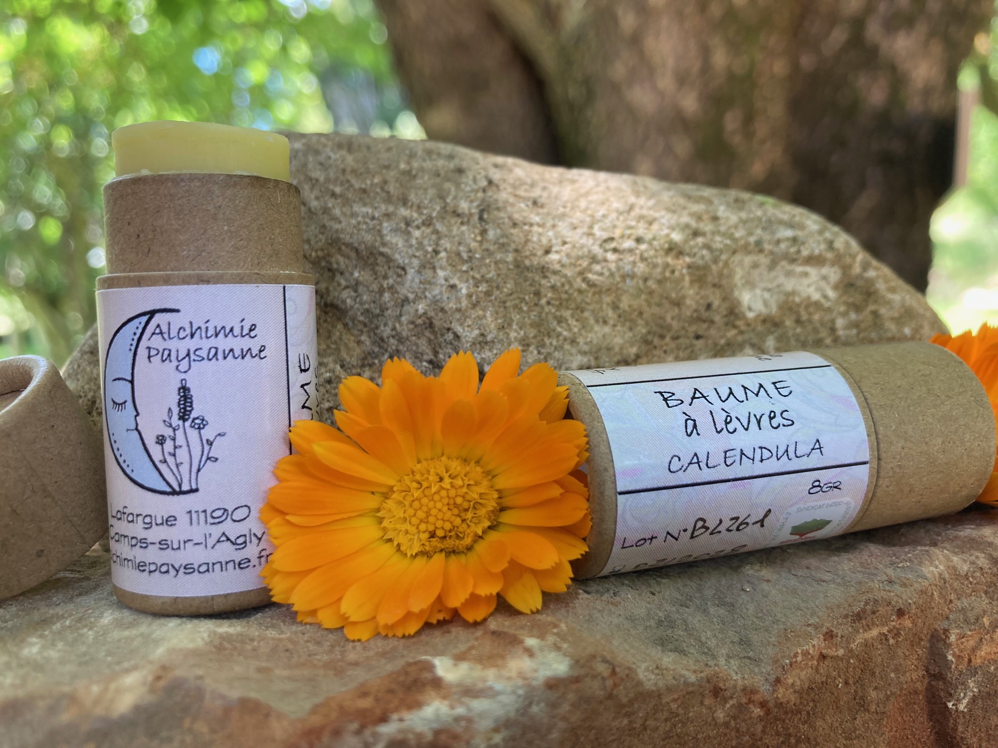 Baume à lèvre réparateur tallow paleo cosmetic calendula